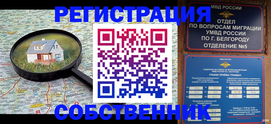 регистрация для школы в Полярных Зорях